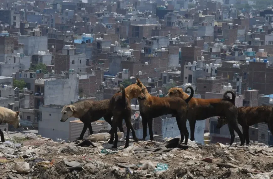 सुप्रीम कोर्ट ने दिल्ली प्रशासन को निर्देश दिया…